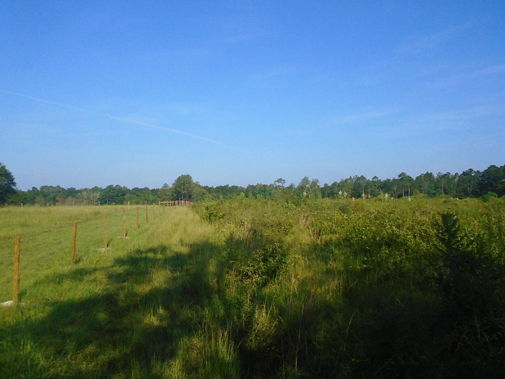 000 SHOWHORSE WAY, Paxton, FL 32538