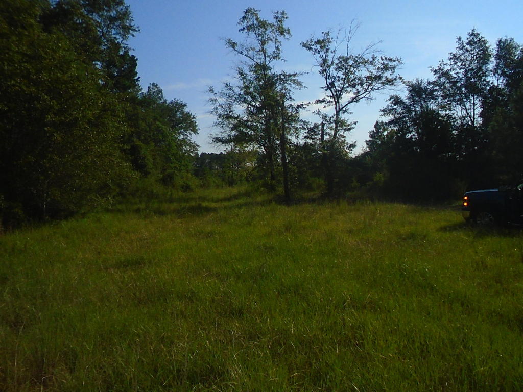 000 SHOWHORSE WAY, Paxton, FL 32538