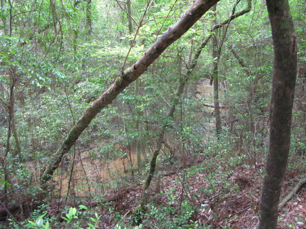 5306 Fers Road, Crestview, FL 32539