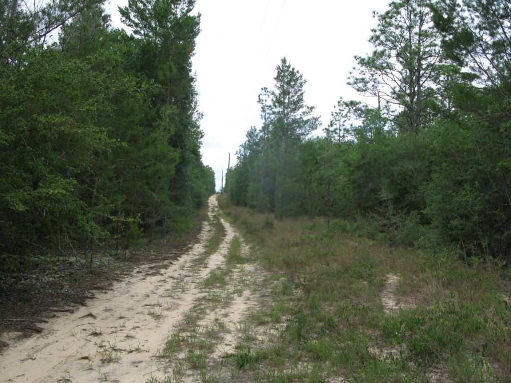 5306 Fers Road, Crestview, FL 32539