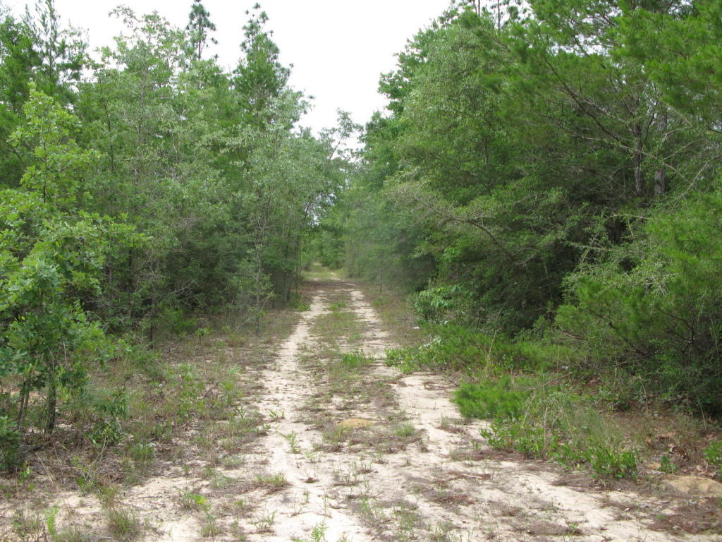 5306 Fers Road, Crestview, FL 32539