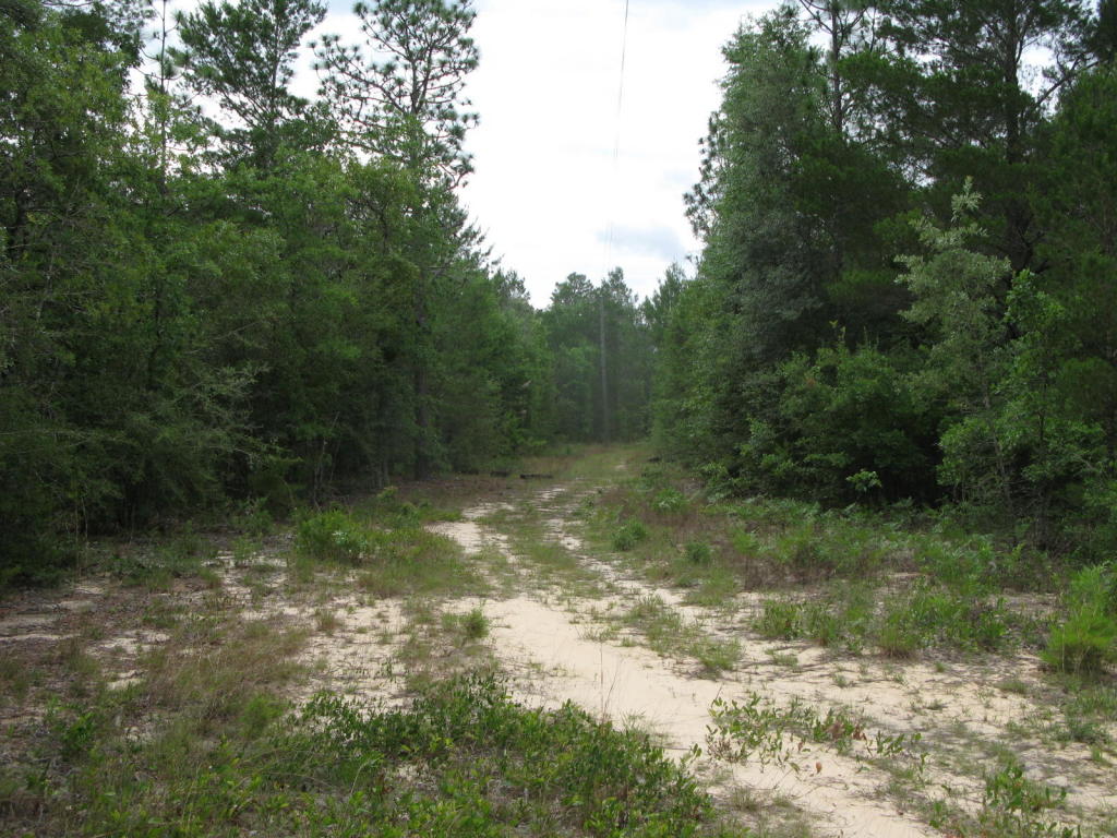 5306 Fers Road, Crestview, FL 32539