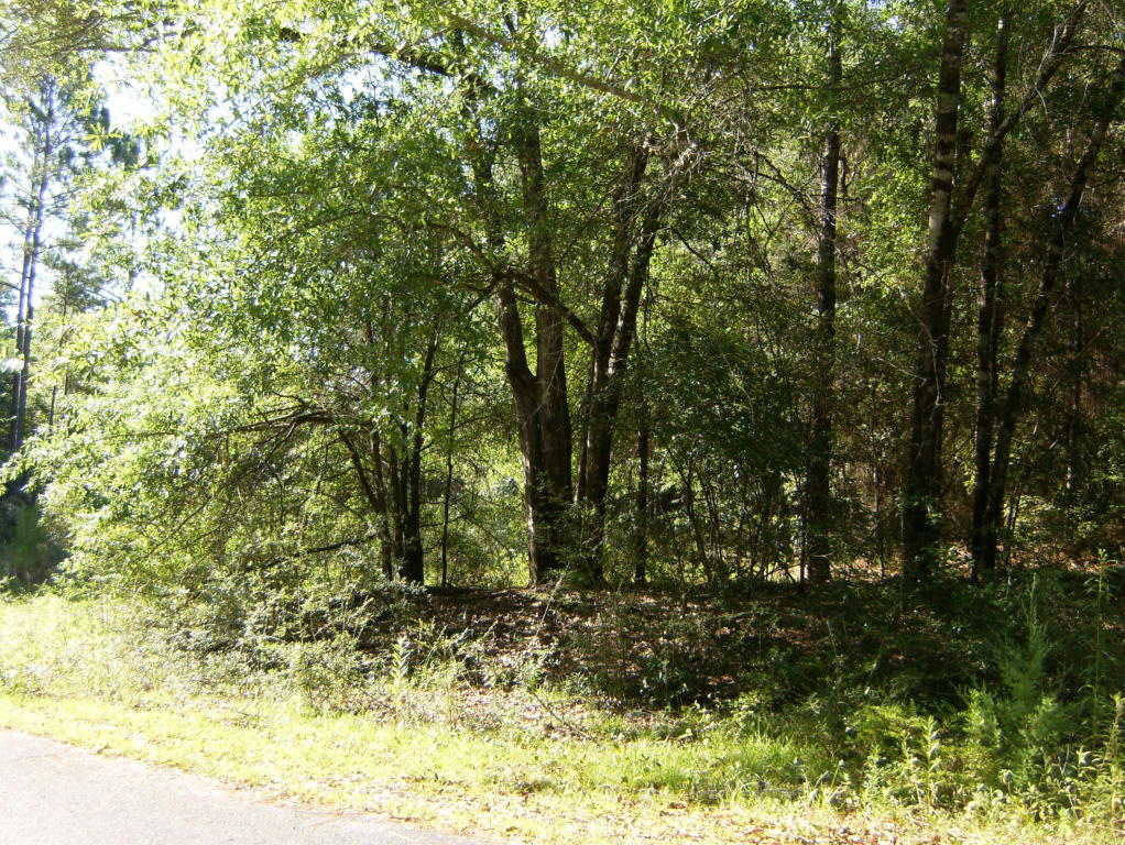 XX Meadow Lake Drive, Crestview, FL 32539