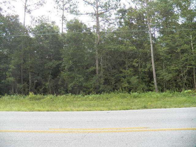 6100 HIGHWAY 393, Crestview, FL 32539