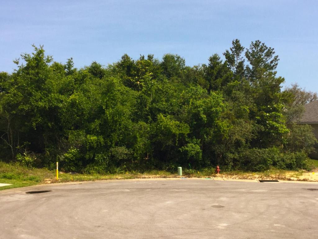Lot 2 Blue Marlin Court, Destin, FL 32541
