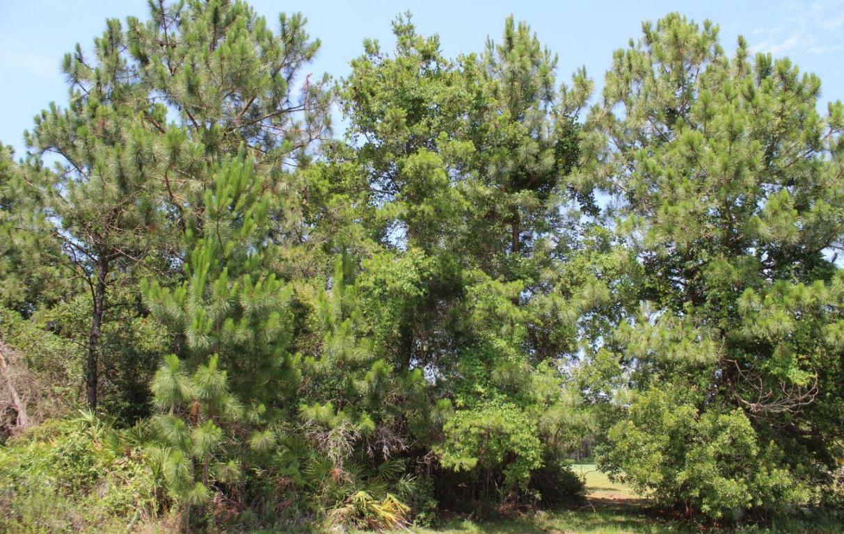 Lot 5 INDIGO Loop, Miramar Beach, FL 32550