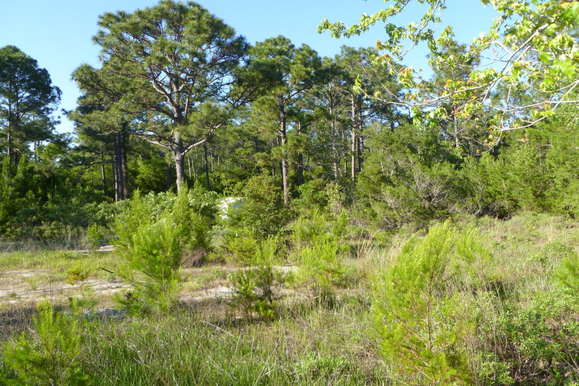 6060 PAMPAS Drive, Gulf Breeze, FL 32563