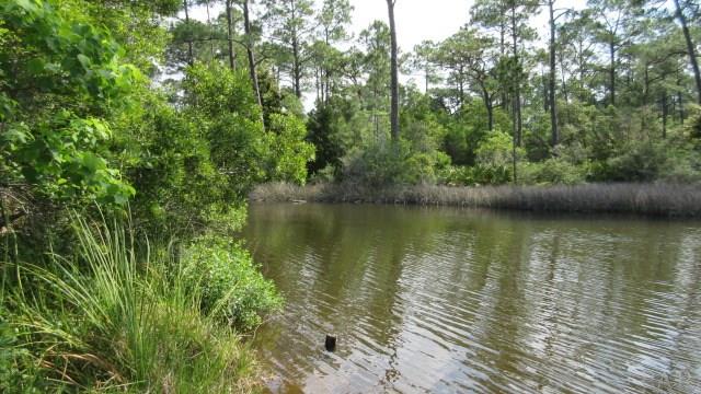 5561 SOUNDSIDE DR, Gulf Breeze, FL 32563