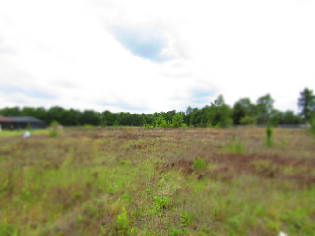 0000 Durbin Lane, Holt, FL 32564