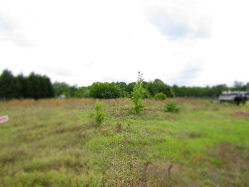 0000 Durbin Lane, Holt, FL 32564