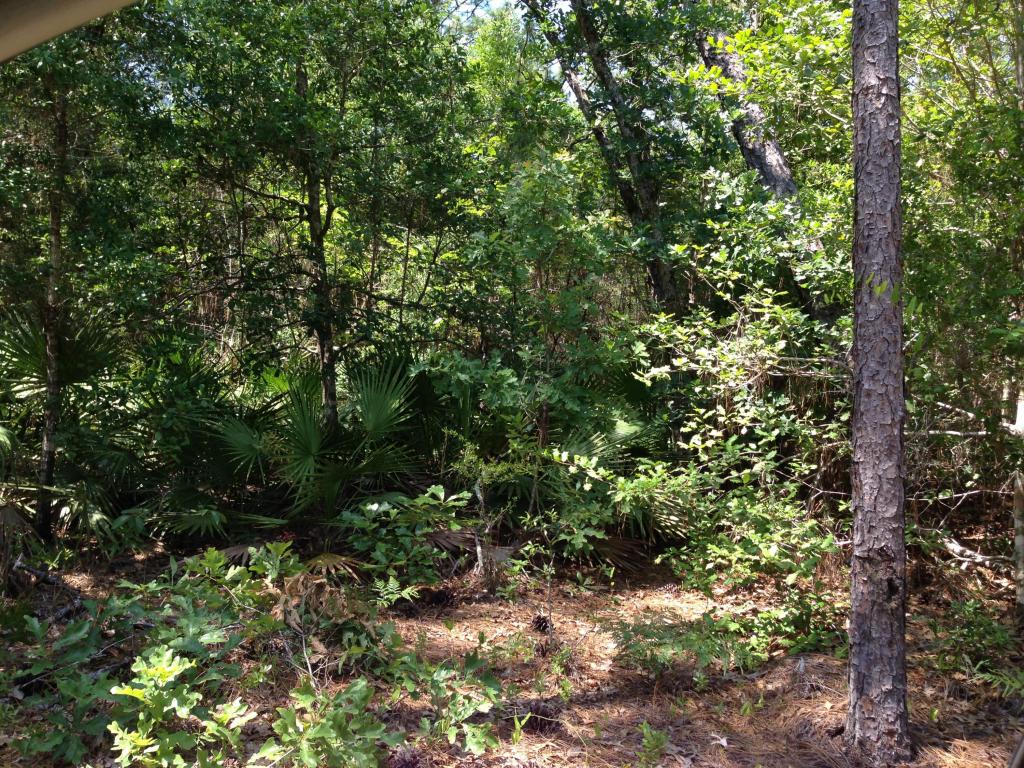 7.55 AC Innsbrook Lane, Holt, FL 32564