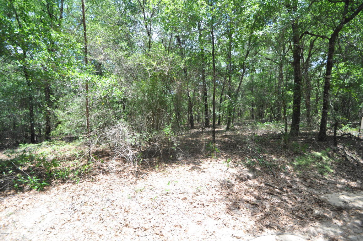 00 MULLINS Trail, Holt, FL 32564