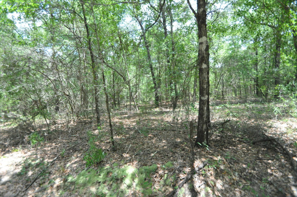 00 MULLINS Trail, Holt, FL 32564