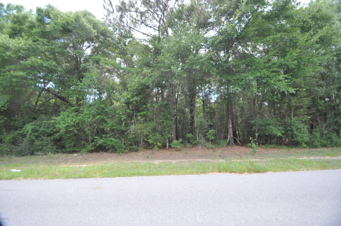 00 WILKERSON BLUFF Road, Holt, FL 32564