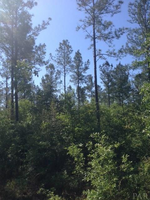 1 PASCO BROXSON CIR, Holt, FL 32564