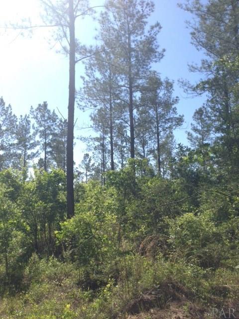 1 PASCO BROXSON CIR, Holt, FL 32564