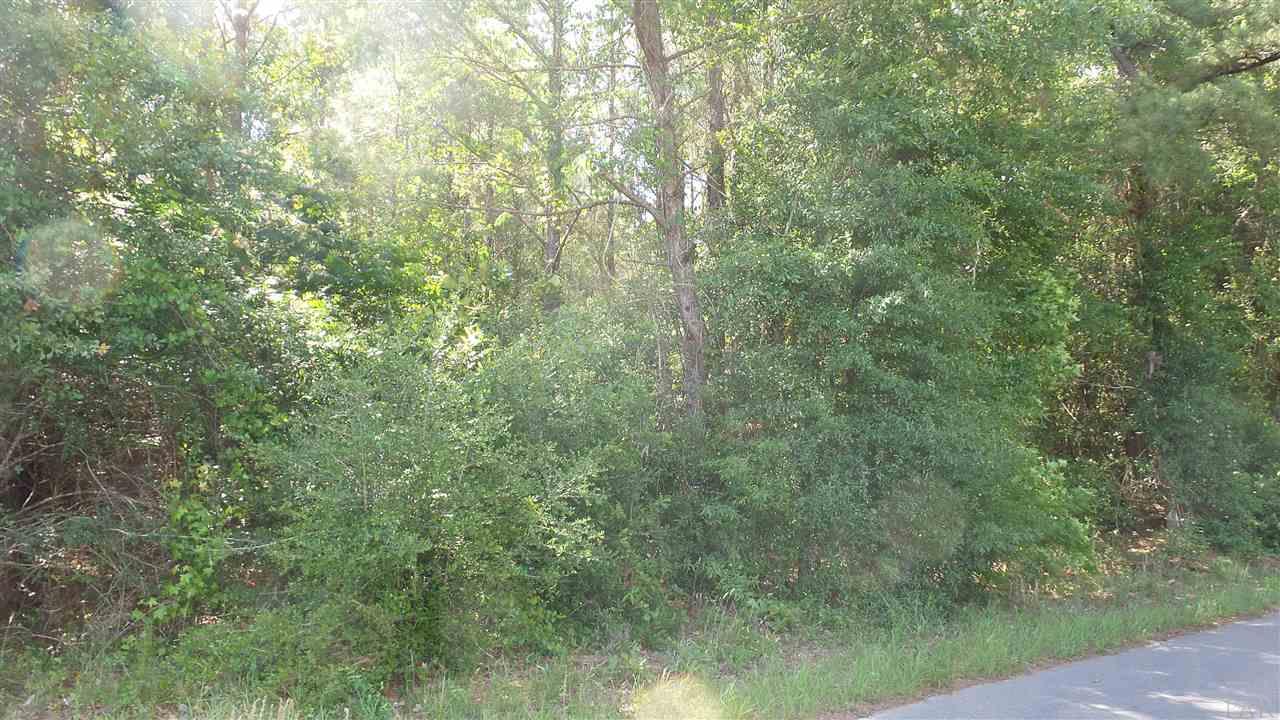 0 WILEY SCOTT RD, Jay, FL 32565