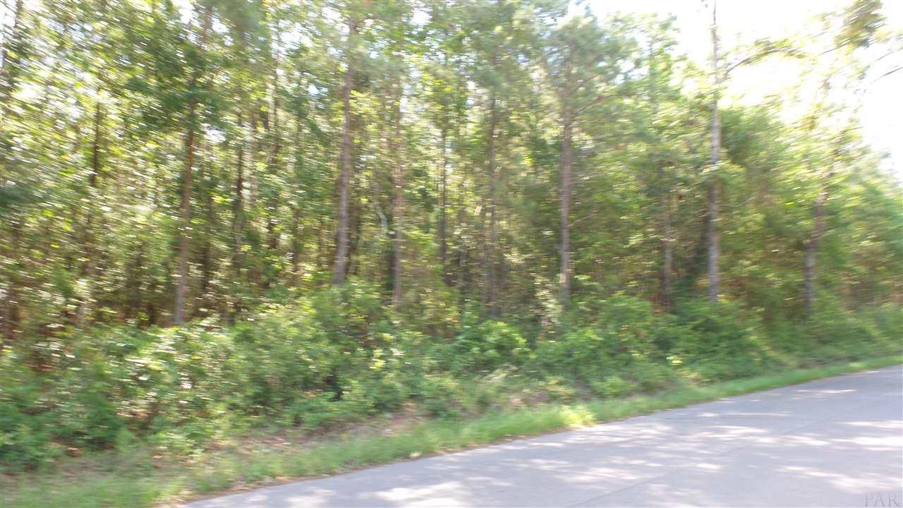 0 WILEY SCOTT RD, Jay, FL 32565