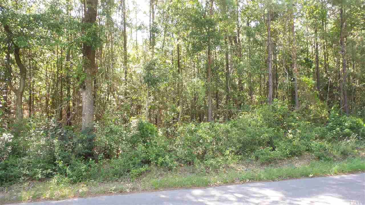 0 WILEY SCOTT RD, Jay, FL 32565