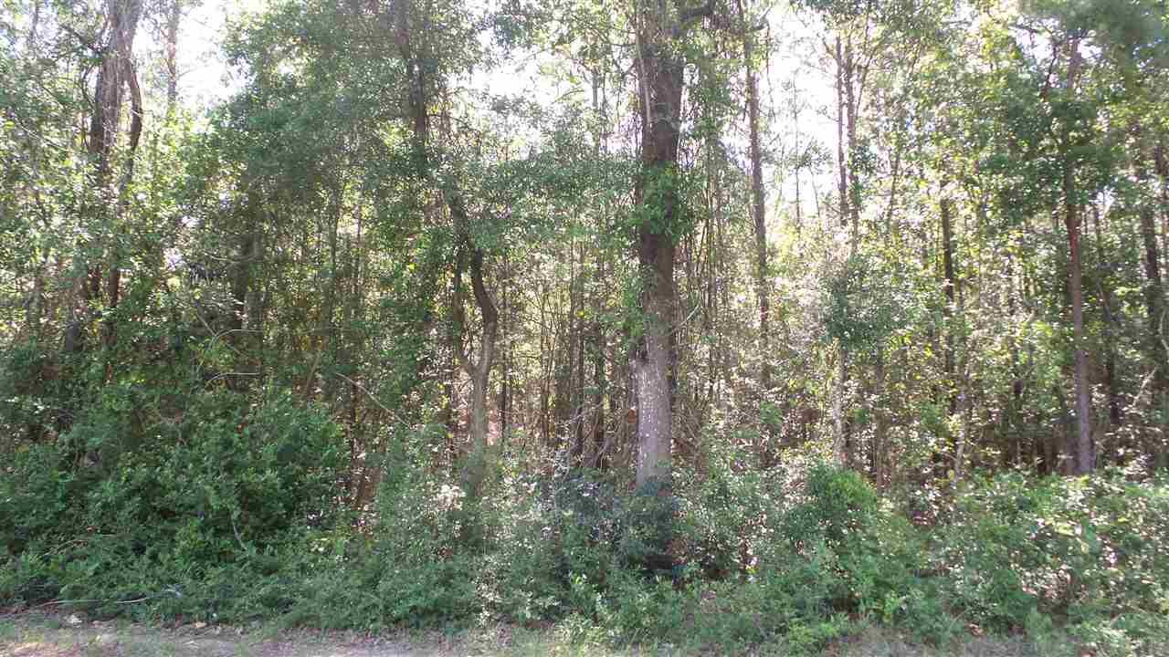 0 WILEY SCOTT RD, Jay, FL 32565