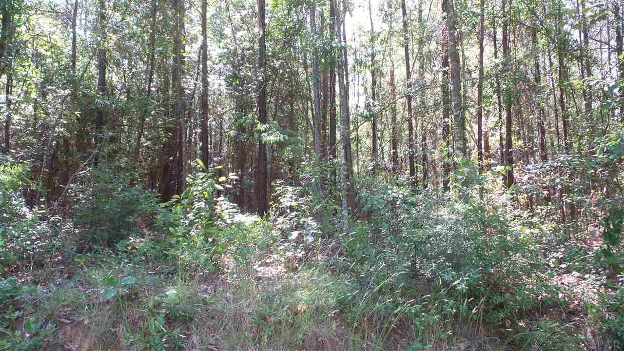 0 WILEY SCOTT RD, Jay, FL 32565