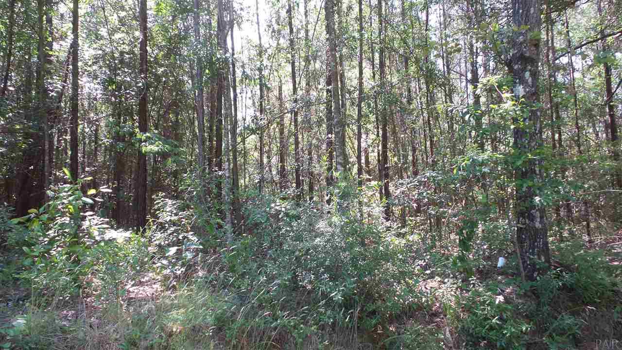 0 WILEY SCOTT RD, Jay, FL 32565