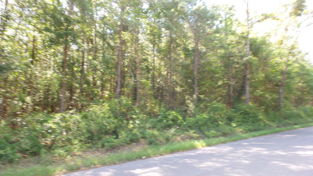 0 Wiley Scott Road, Jay, FL 32565