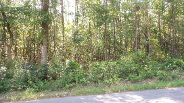 0 Wiley Scott Road, Jay, FL 32565