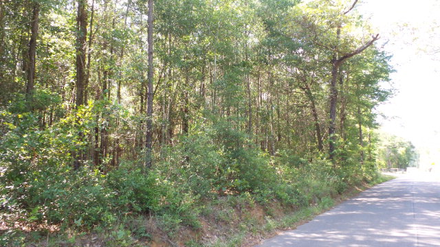 0 Wiley Scott Road, Jay, FL 32565