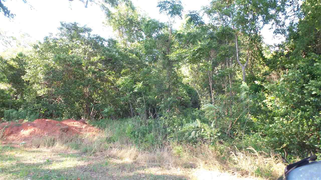 0 MT CARMEL RD, Jay, FL 32565
