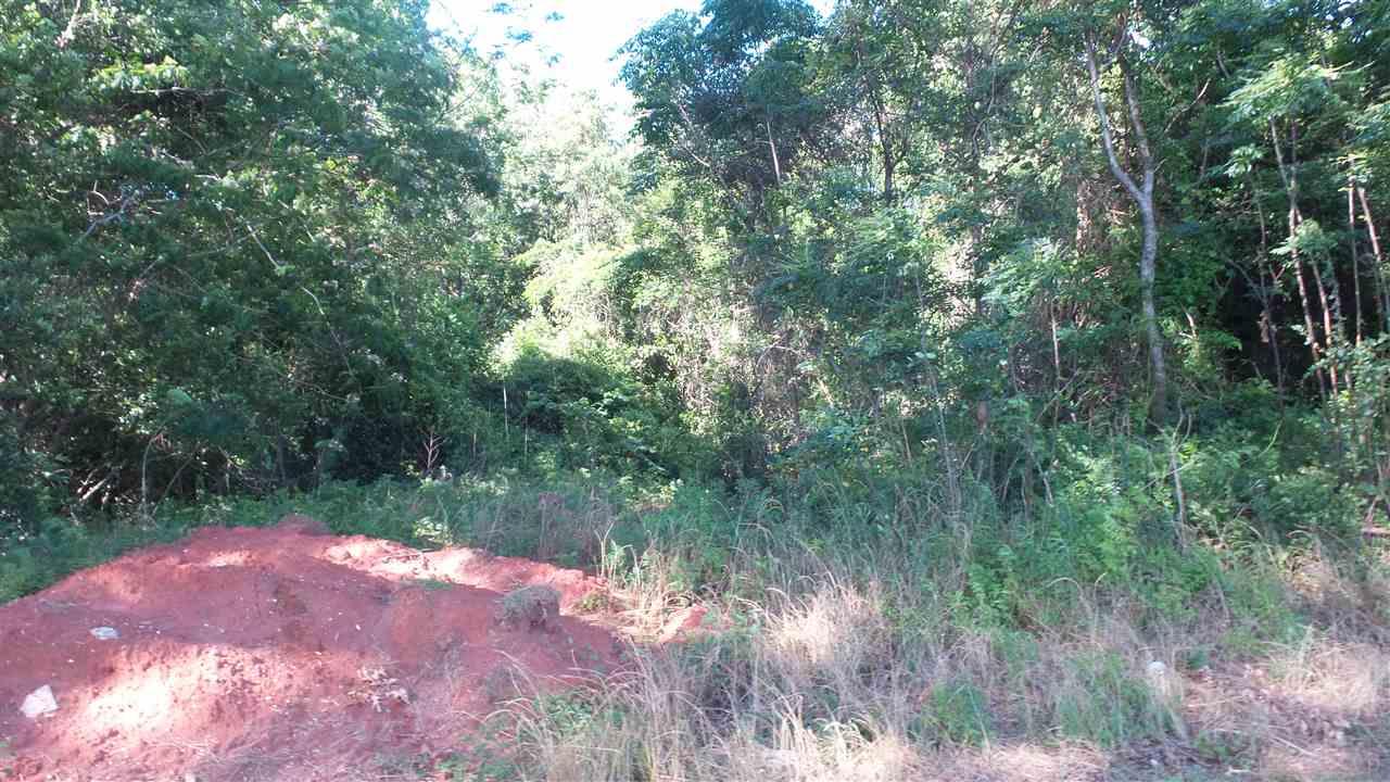 0 MT CARMEL RD, Jay, FL 32565