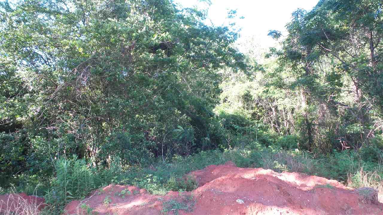 0 MT CARMEL RD, Jay, FL 32565