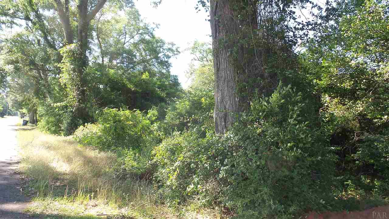 0 MT CARMEL RD, Jay, FL 32565