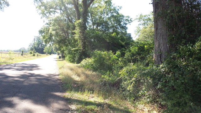 0 Mt Carmel Rd, Jay, FL 32565