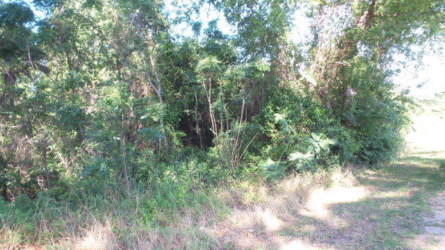 0 Mt Carmel Rd, Jay, FL 32565