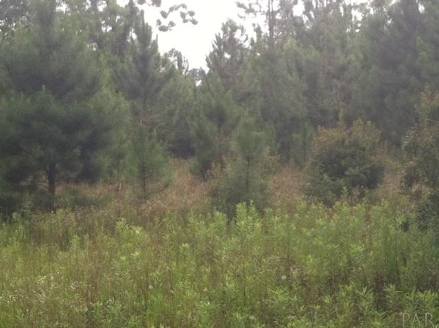 1.45 Acres Farm Rd, Jay, FL 32565