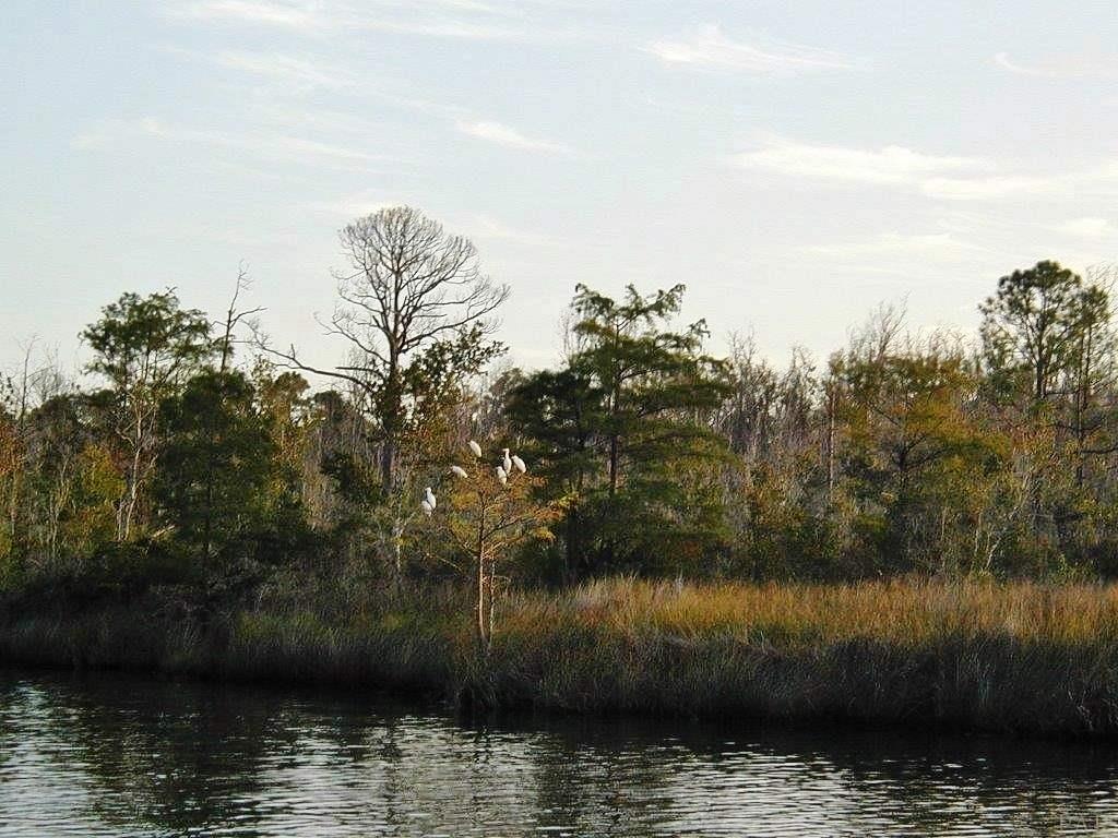 8816 TURKEY BLUFF RD, Navarre, FL 32566