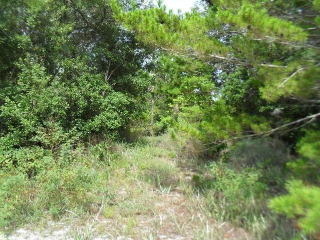 Lot 15 COSTA VERDE CT, Navarre, FL 32566
