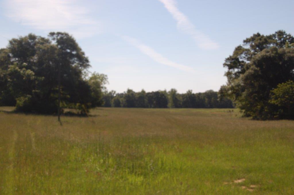 25.5 Ludlum Road, Laurel Hill, FL 32567