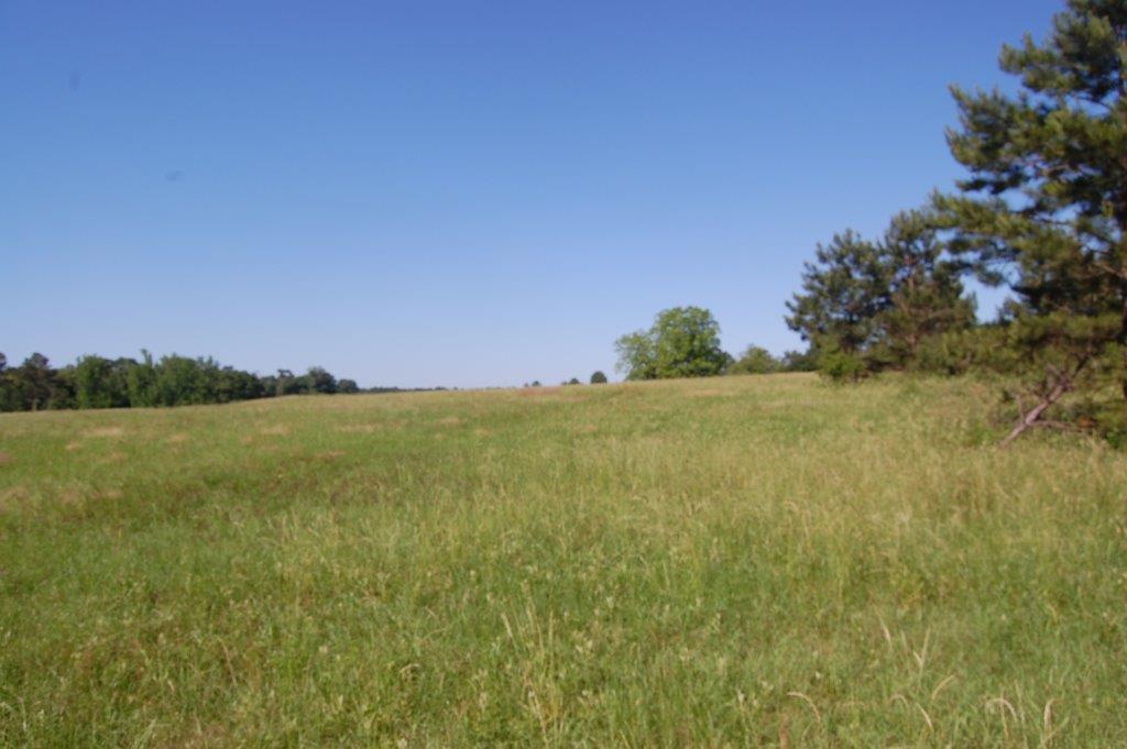 25.5 Ludlum Road, Laurel Hill, FL 32567