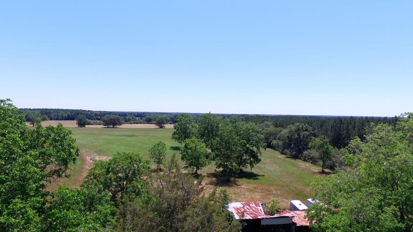 8071 Co Rd 393, Laurel Hill, FL 32567