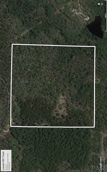 HWY 2, Laurel Hill, FL 32567