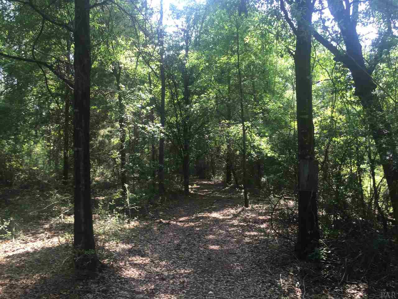 HWY 2, Laurel Hill, FL 32567