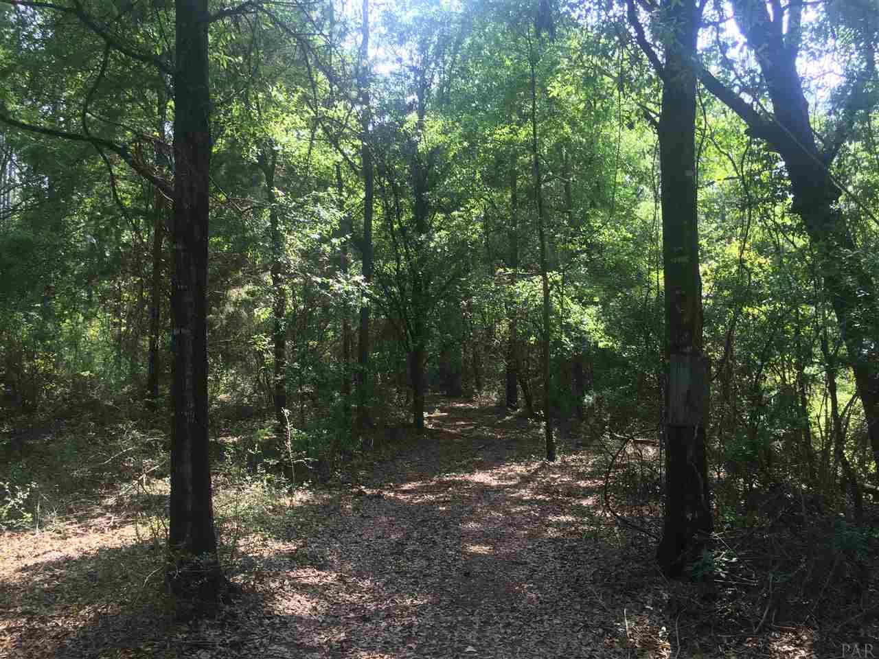 HWY 2, Laurel Hill, FL 32567