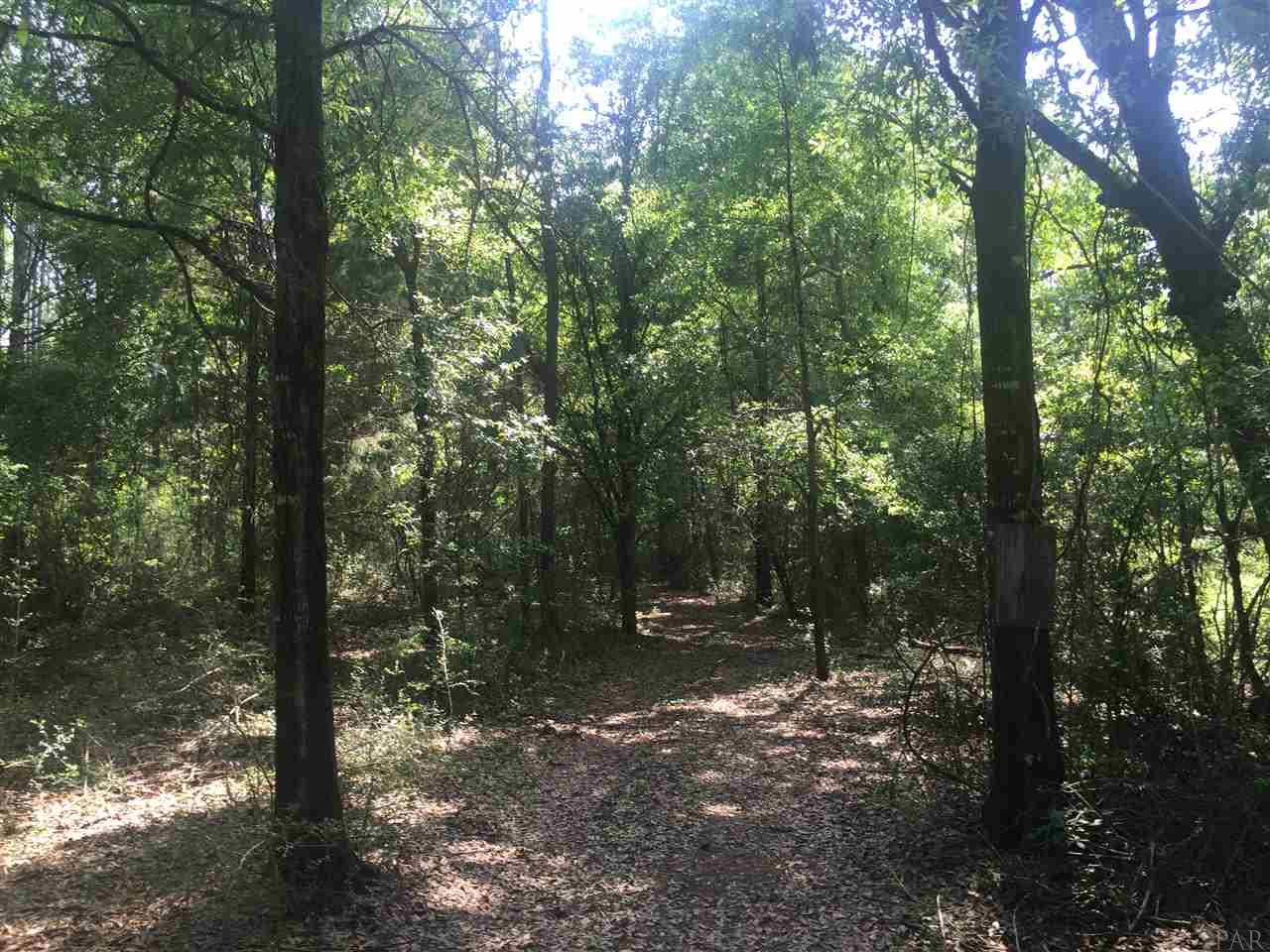 HWY 2, Laurel Hill, FL 32567