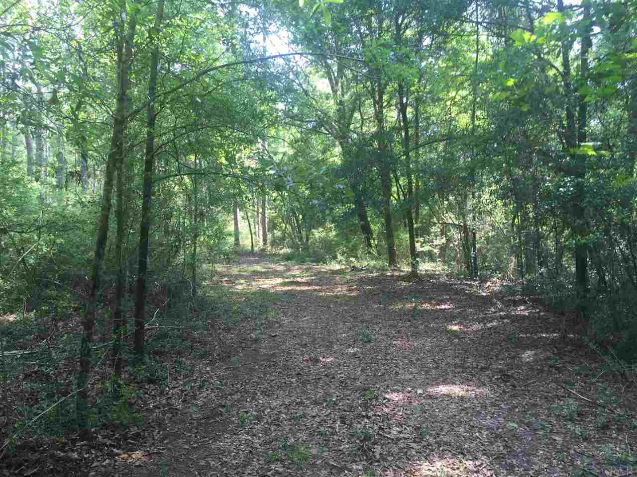 HWY 2, Laurel Hill, FL 32567