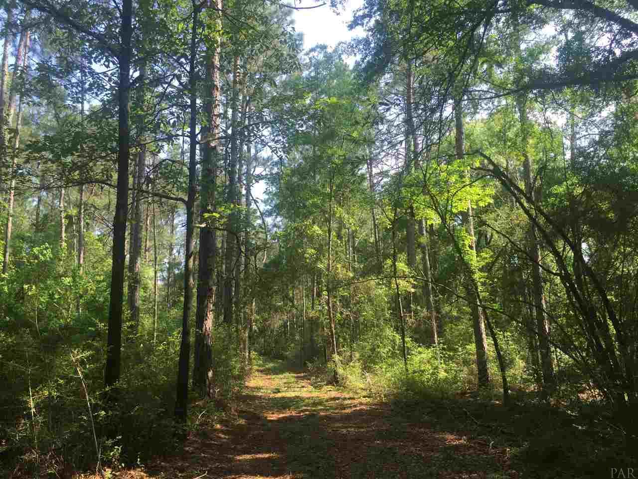 HWY 2, Laurel Hill, FL 32567