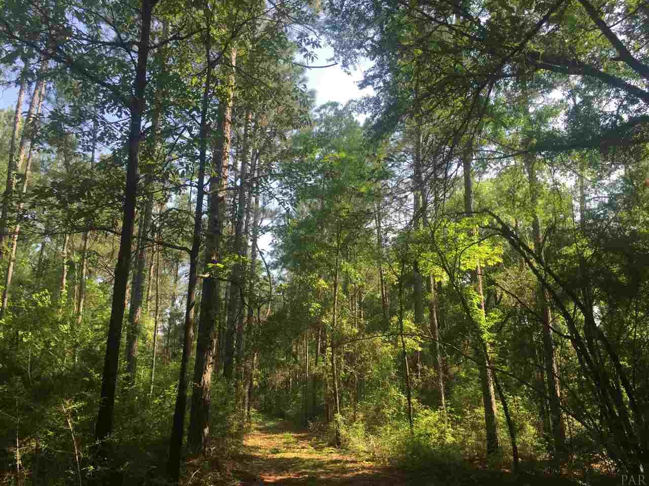 HWY 2, Laurel Hill, FL 32567
