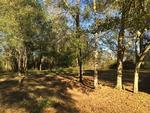 7950 COUNTY ROAD 97A