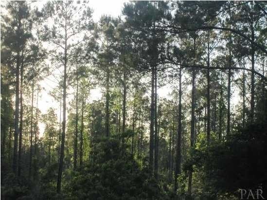 K RANCHERS COVE TRL, Milton, FL 32570